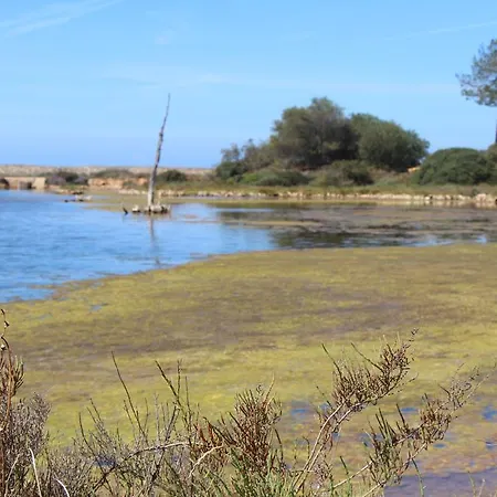 By The Алмансил